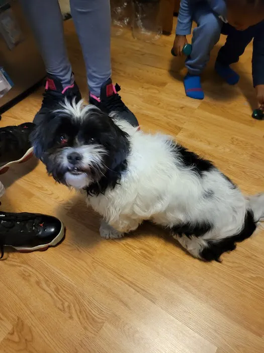 Woodlawn Animal Hospital Picture 7
