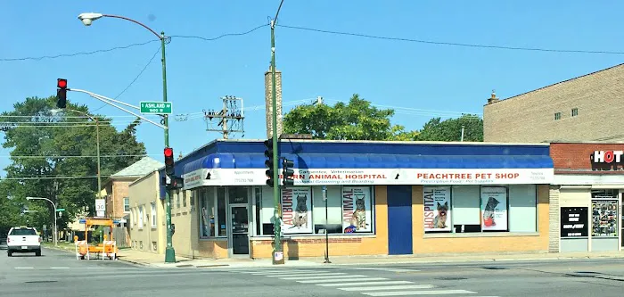 Auburn Animal Hospital Picture 9