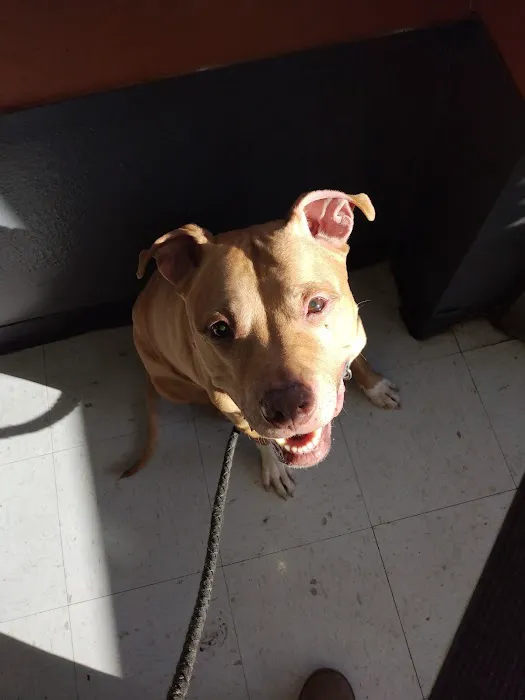 Auburn Animal Hospital Picture 8