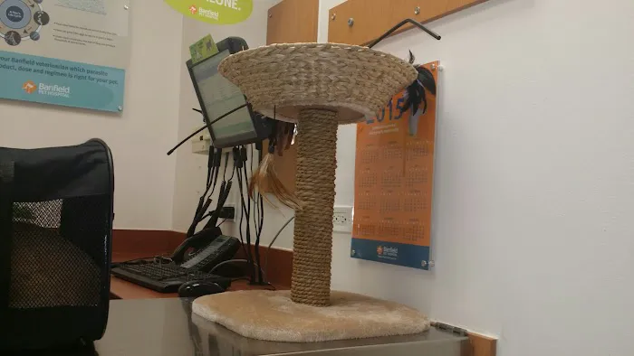 Banfield Pet Hospital Picture 1
