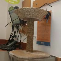 Banfield Pet Hospital ico