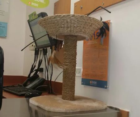 Banfield Pet Hospital