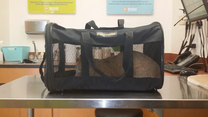 Banfield Pet Hospital Picture 4