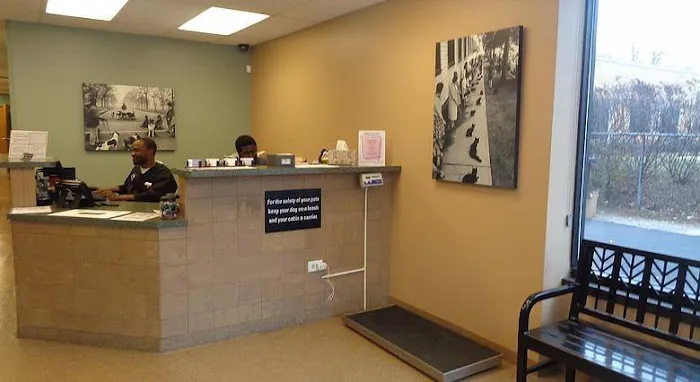 Hyde Park Animal Clinic Picture 8