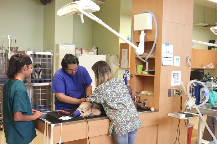Animal Hospital On Route 66 Picture 7