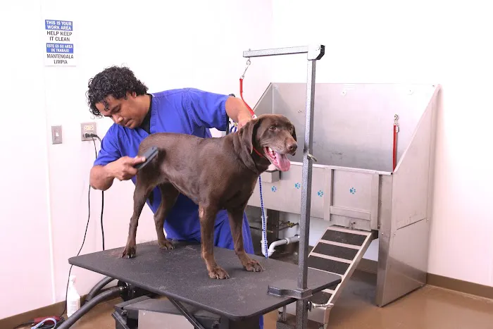 Animal Hospital On Route 66 Picture 6