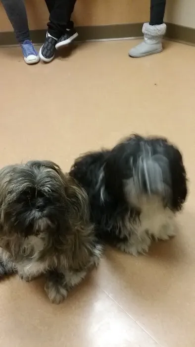 Animal Hospital On Route 66 Picture 4