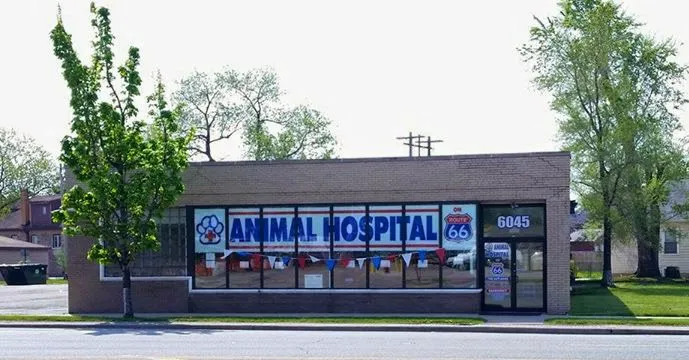 Animal Hospital On Route 66 Picture 8