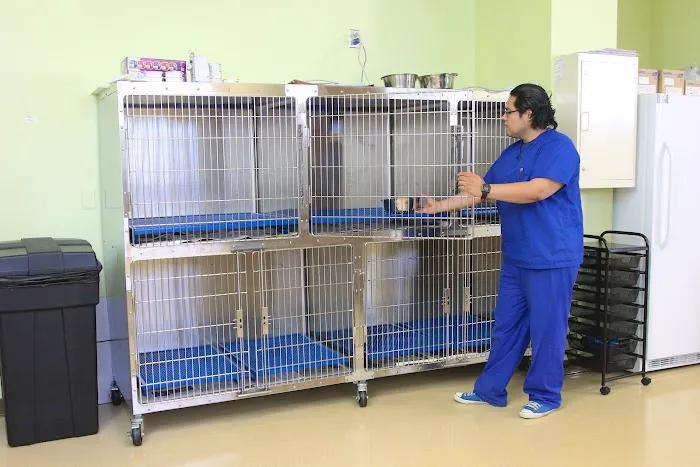 Animal Hospital On Route 66 Picture 10