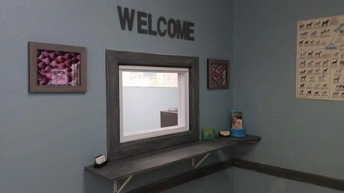 Abbot Animal Hospital Picture 4