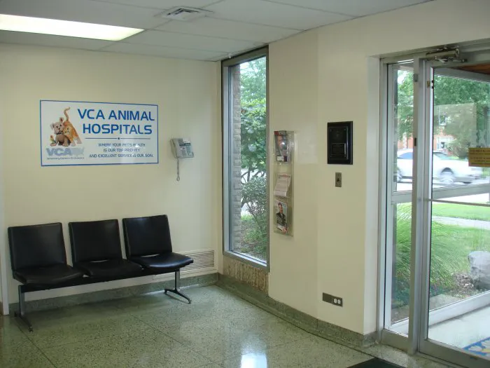 VCA Berwyn Animal Hospital Picture 4