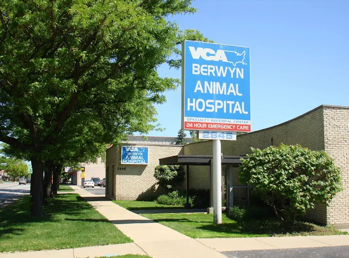 VCA Berwyn Animal Hospital Picture 8