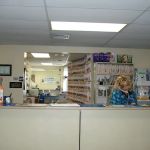 VCA Berwyn Animal Hospital