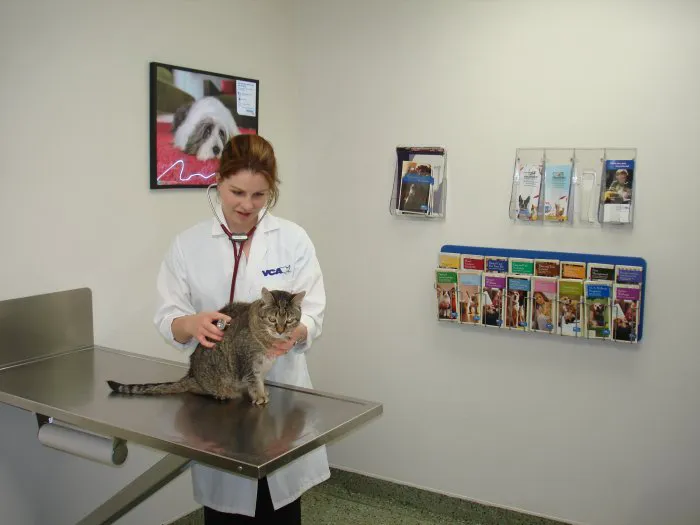 VCA Berwyn Animal Hospital Picture 10