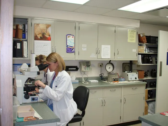 VCA Berwyn Animal Hospital Picture 2