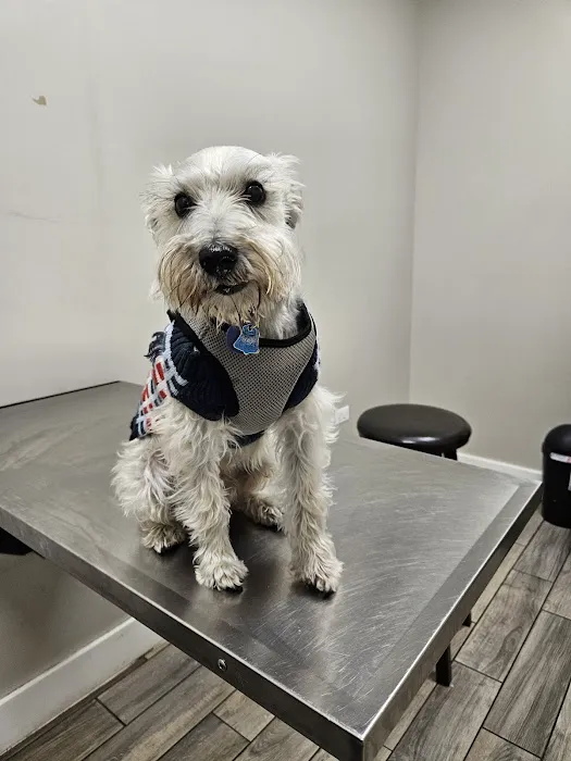 Summit Animal Hospital Picture 4