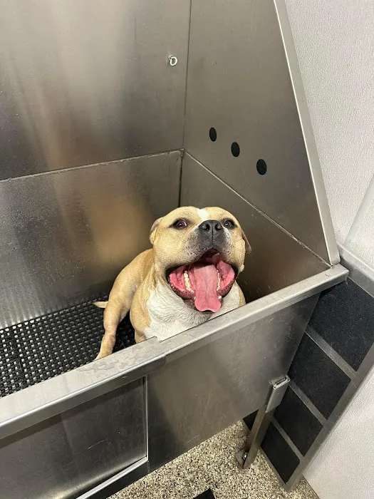 Summit Animal Hospital Picture 5