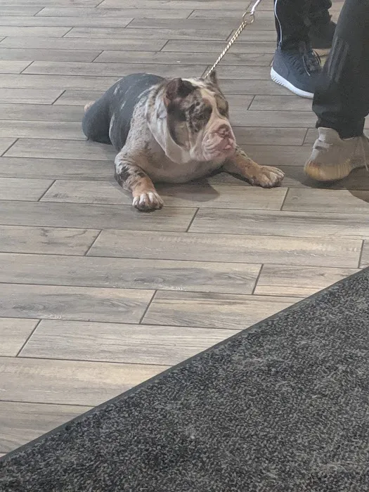 Summit Animal Hospital Picture 7