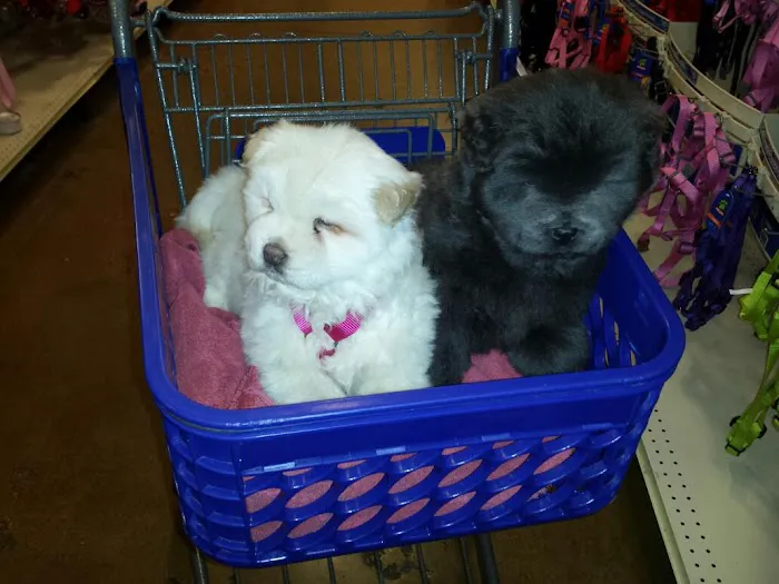 Scottsdale Animal Clinic Picture 3