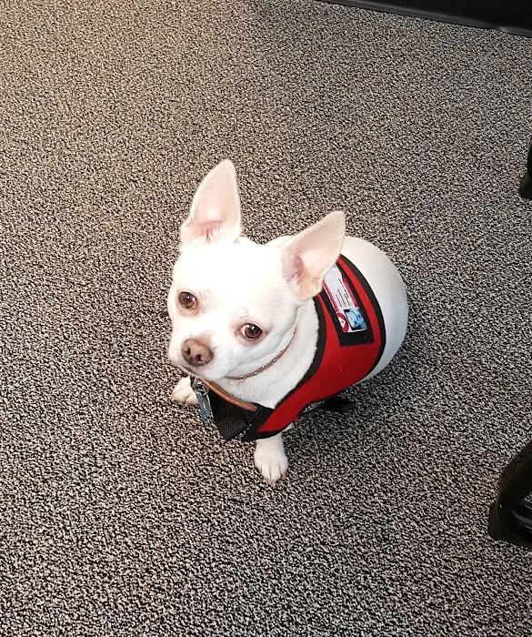 Scottsdale Animal Clinic Picture 8
