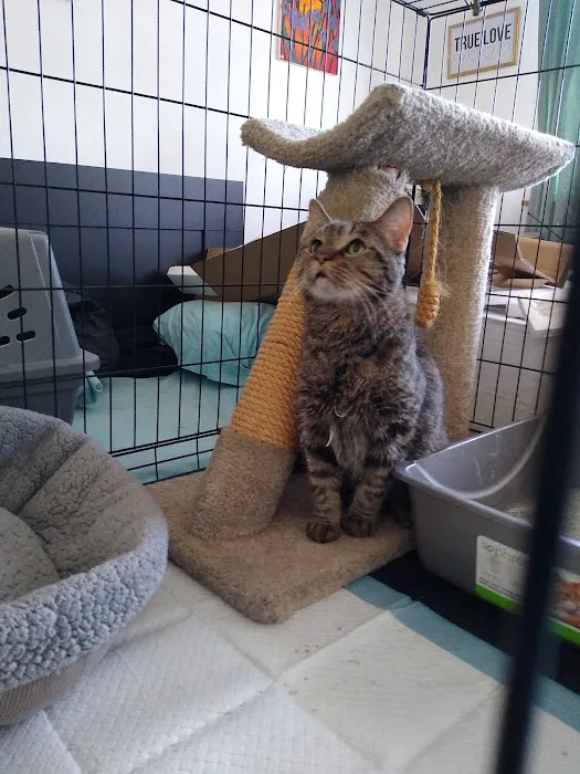 Argo Animal Clinic Picture 8