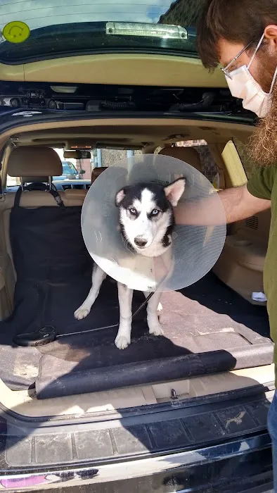 Argo Animal Clinic Picture 3