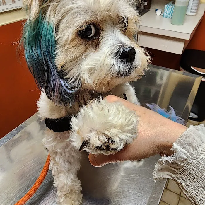 Argo Animal Clinic Picture 10