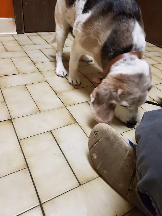 Argo Animal Clinic Picture 6