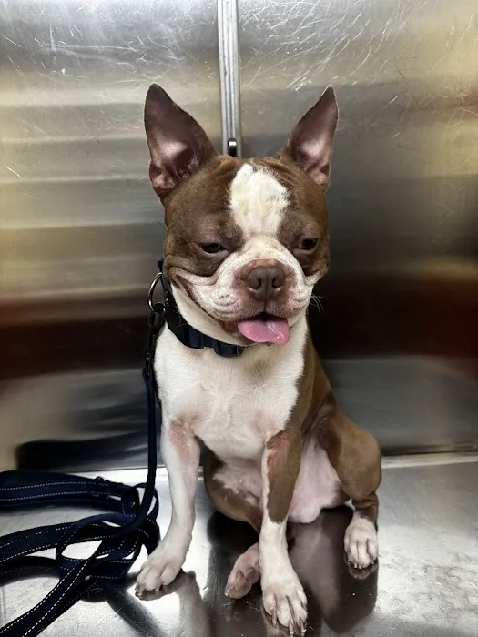 Argo Animal Clinic Picture 4