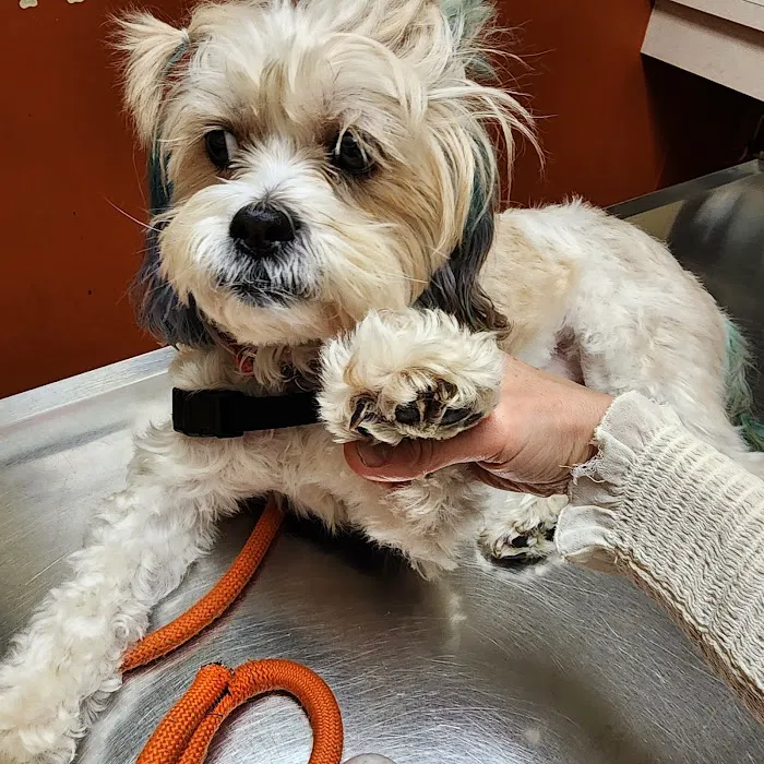Argo Animal Clinic Picture 5