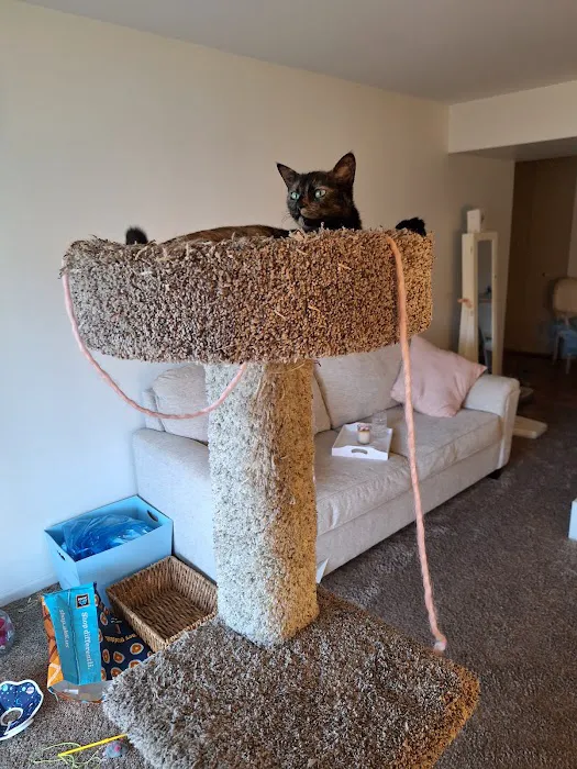 Oak Lawn Animal Hospital Picture 10