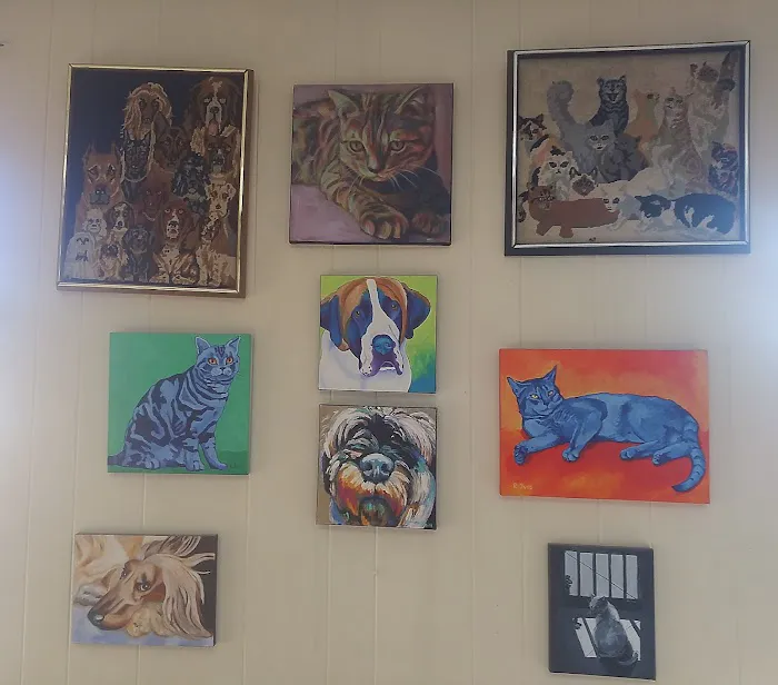Oak Lawn Animal Hospital Picture 1