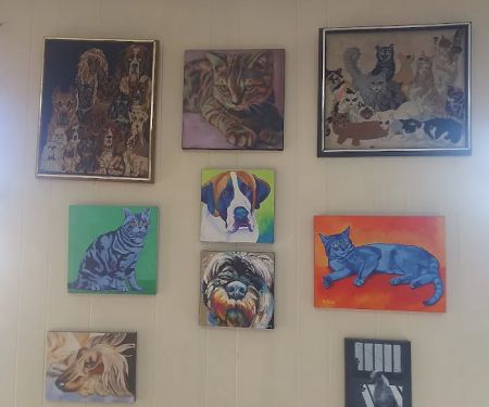 Oak Lawn Animal Hospital
