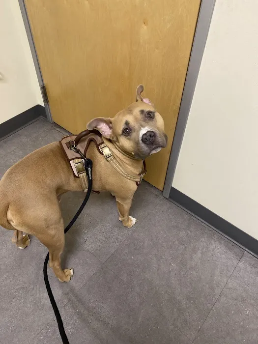 Vetco Total Care Animal Hospital Picture 4