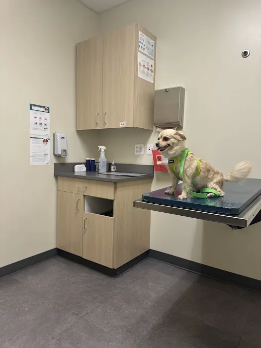 Vetco Total Care Animal Hospital Picture 7