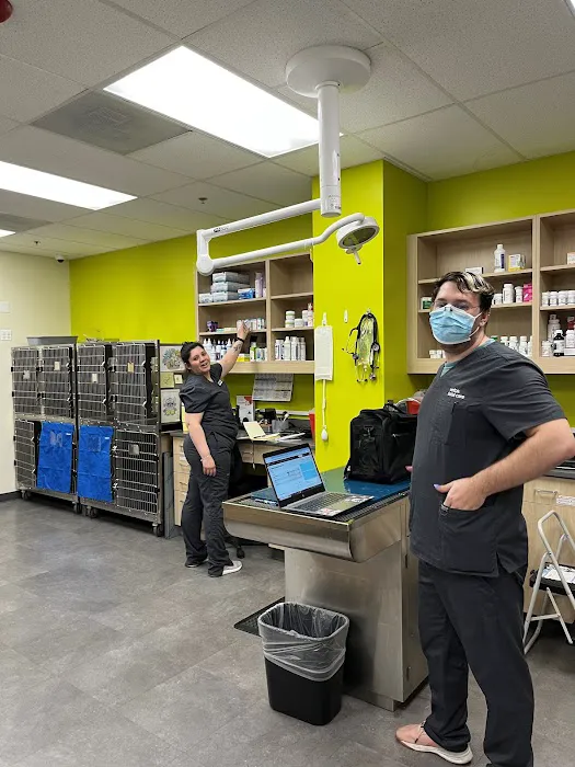Vetco Total Care Animal Hospital Picture 8