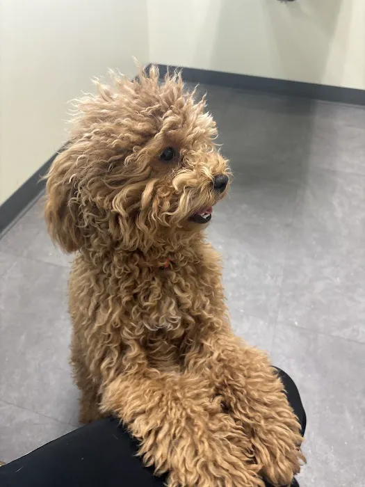 Vetco Total Care Animal Hospital Picture 1