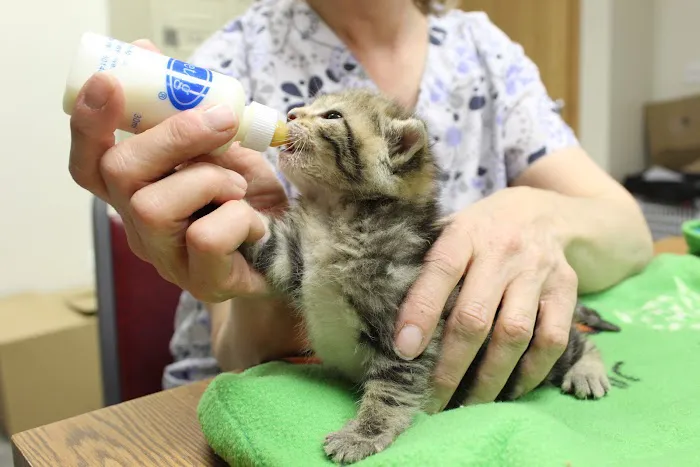 PetVets Animal Hospital Picture 6