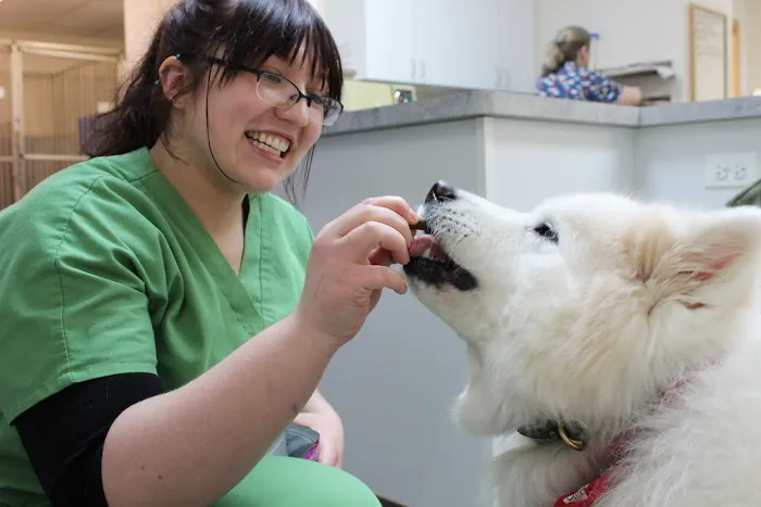 PetVets Animal Hospital Picture 1