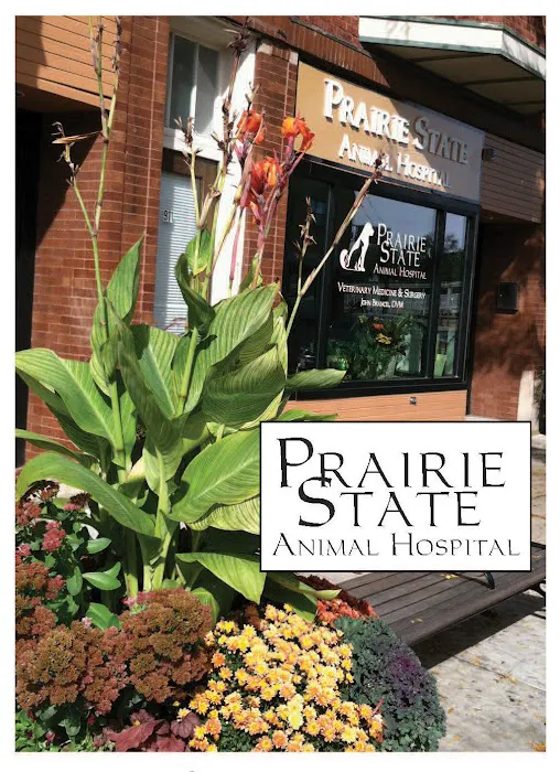 Prairie State Animal Hospital Picture 5