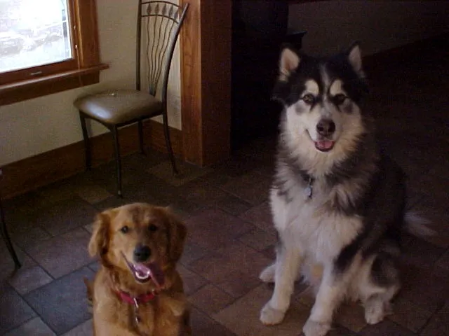 Prairie State Animal Hospital Picture 1