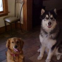 Prairie State Animal Hospital ico