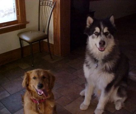 Prairie State Animal Hospital