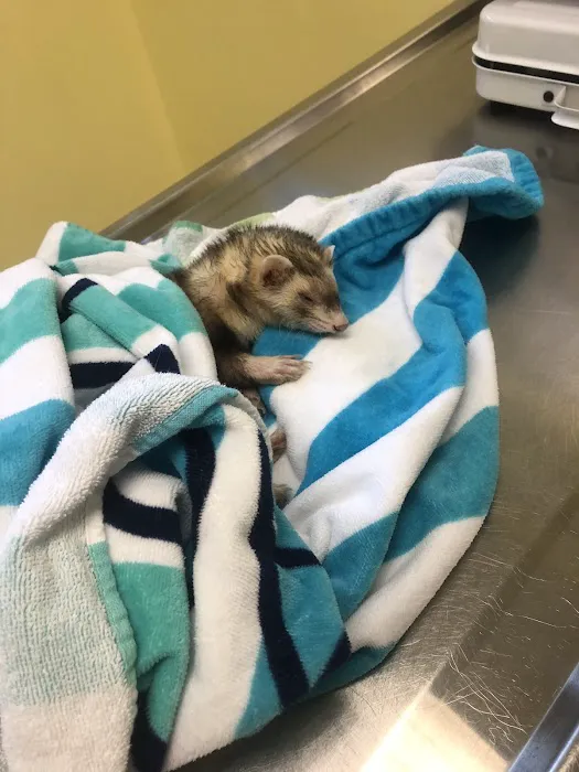 Oak Park Animal Hospital Ltd Picture 1