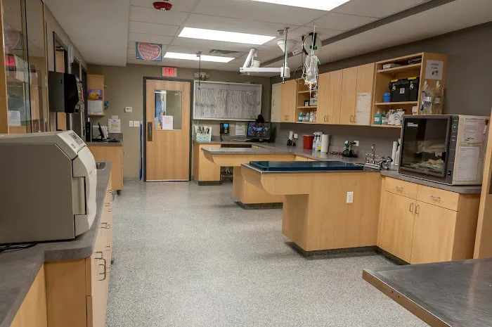 LePar Animal Hospital Picture 8