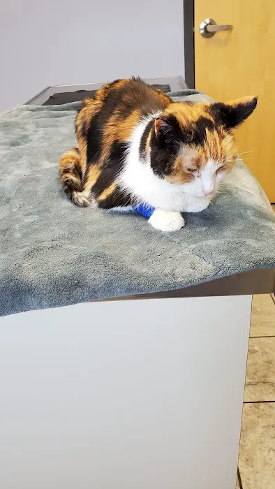LePar Animal Hospital Picture 3
