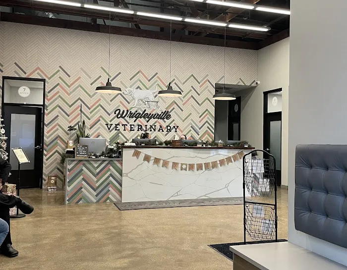 Wrigleyville Veterinary Center Picture 1