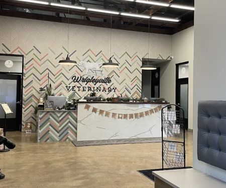 Wrigleyville Veterinary Center