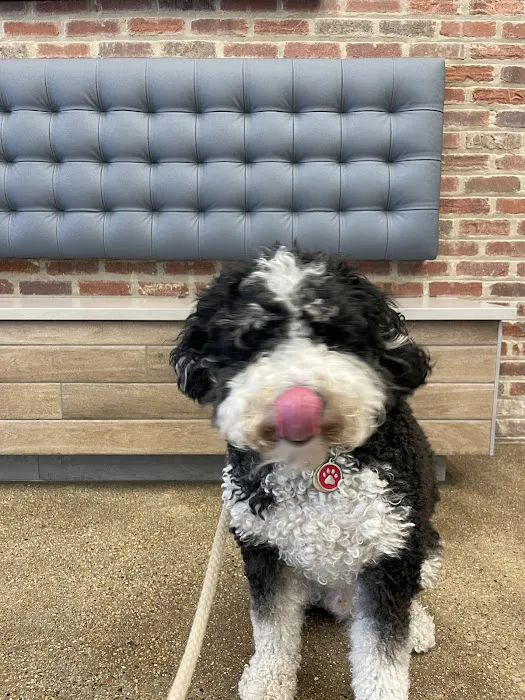 Wrigleyville Veterinary Center Picture 2