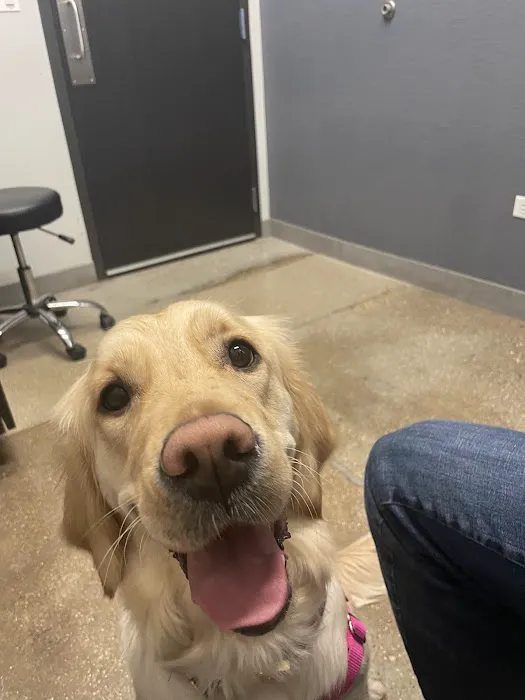 Wrigleyville Veterinary Center Picture 10